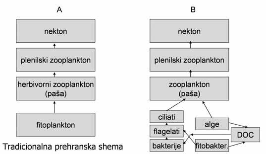 Vodni ekosistemi struktura in funkcija / Freshwater ecosystems structure and function družbena dobrina.