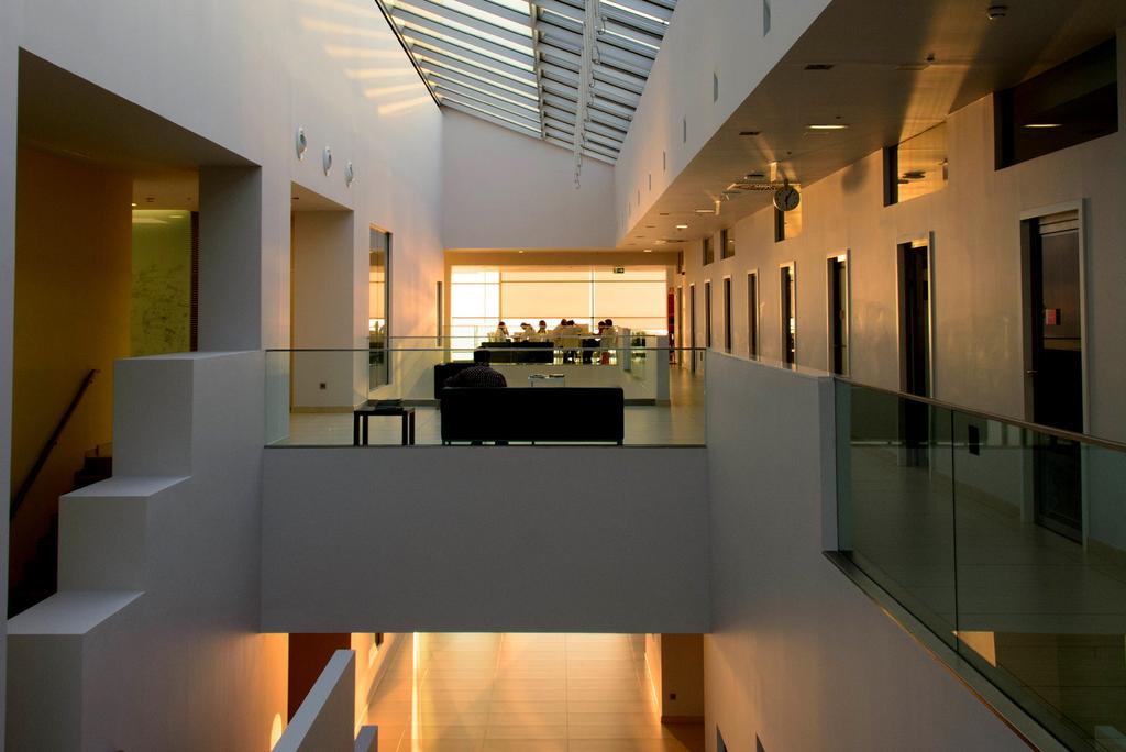 NEUROSCIENCE RESEARCH GROUPS The Champalimaud Neuroscience Programme aims to unravel the neural