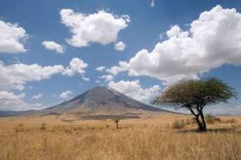 Tarangire National Park lies 120 km south of Arusha, along The Great North Road highway, and is very popular for day trips from the town.