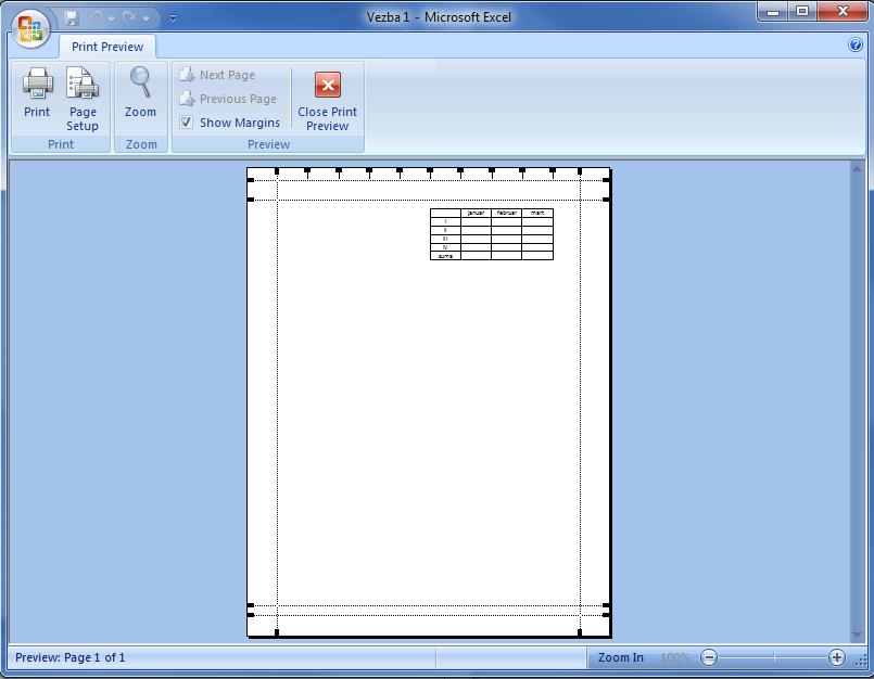 Slika 5.5 Izgled radnog lista sa opcijom File/Print Preview Na kartici Print Preview nalazi se polje pod nazivom Page Setup.