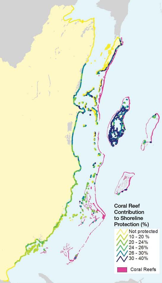 Reefs and mangroves also protect coastal properties from erosion and wave-induced damage, providing an estimated US$231 to US$347 million in avoided damages per year.