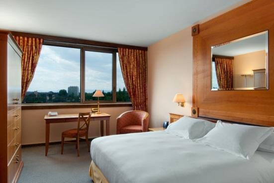 European Parliament and Congress Center Deluxe Room 28 m² with either a view on the Cathedral or the European