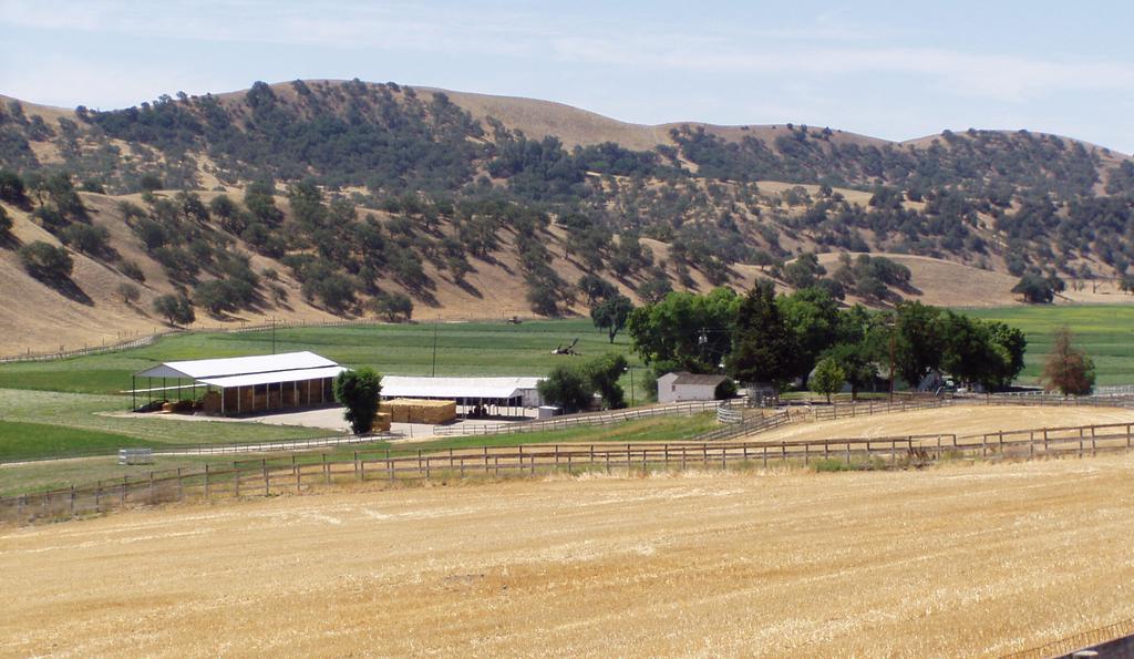 Improvements Ranch is comprised of 891± acres (APN: 424-131-079-081, 086-088) and zoned Agriculture.