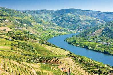 terraced hillside vineyards, typical villages, and quintas with their fragrant wines appear along its banks throughout the