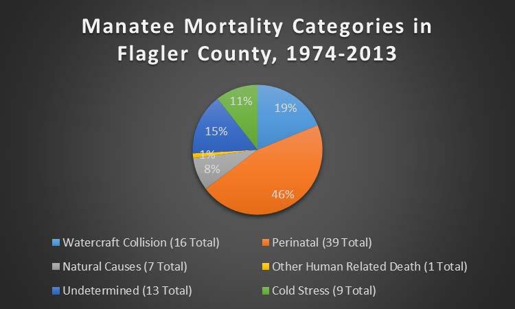 Figure 39: Flagler County Manatee Mortality Categories. Data Source: FWC-FWRI Figure 39 provides graphic representation of manatee mortality categories for Flagler County.