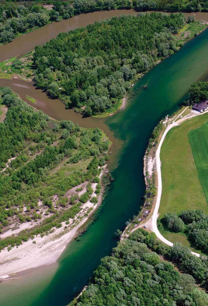 Samo na području gornjeg toka rijeke Drave kvalitativni sastav faune vretenaca čini gotovo 60% od ukupnog broja vrsta u Hrvatskoj što se može pripisati postojanju dovoljnog broja pogodnih staništa.