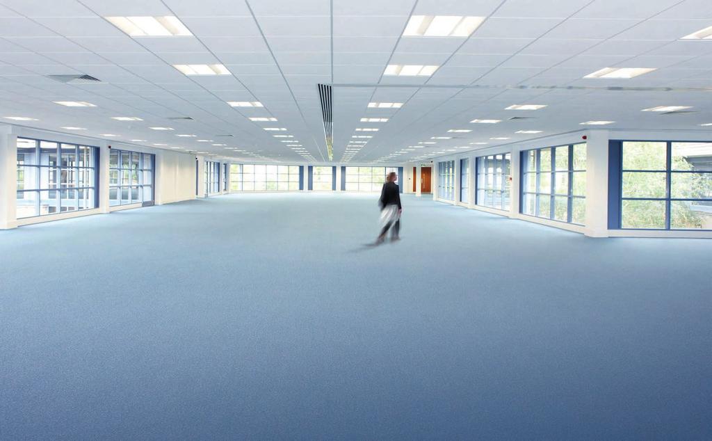 19,000 SQ FT OF OPEN PLAN