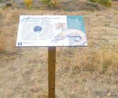 entrance sign) to a fine scale (trail marker), and assist in wayfinding (Figure 6.