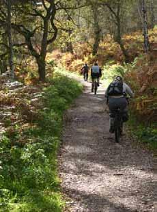 4.0 Cycling Trails Cycling Trails can broadly be categorised as