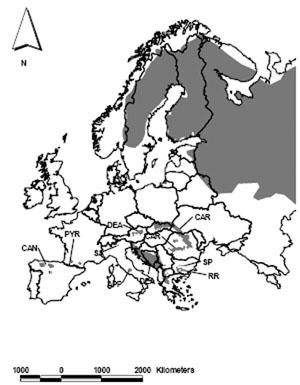 Fig.1: Overview of brown bears in Europe in 1999. The location of the smaller populations is marked with an arrow.