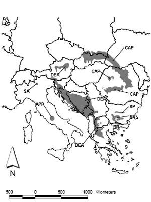 Fig. 2: Detailed distribution of brown bears in southeastern Europe c. 1999.