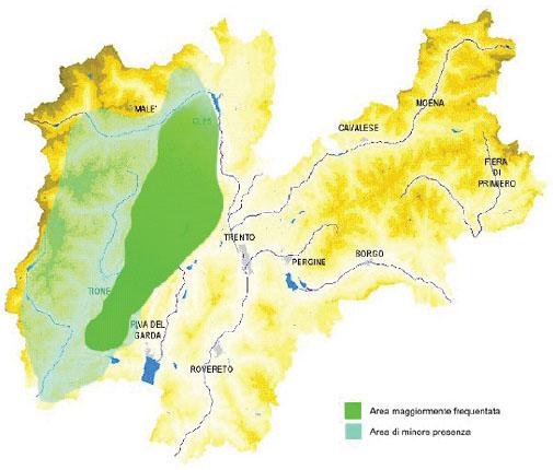 Fig.4: Distriution of the Trentino population.