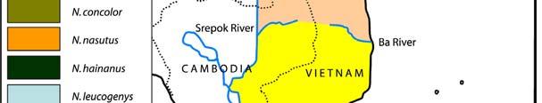 concolor also occurs west of the Mekong River. This appears to be the only area where the genus Nomascus occurs west of the Mekong River (Ma & Wang 1986; Ma et al. 1988).