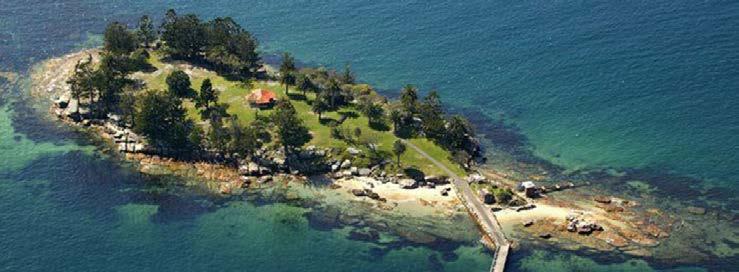 Shark Island Australia Day Picnic 26 January 2018 Shark Island Australia Day Picnic Adult $55 Adults $55 / Child (4-15yrs) $29 Shark Island is one of the best vantage points on the harbour for