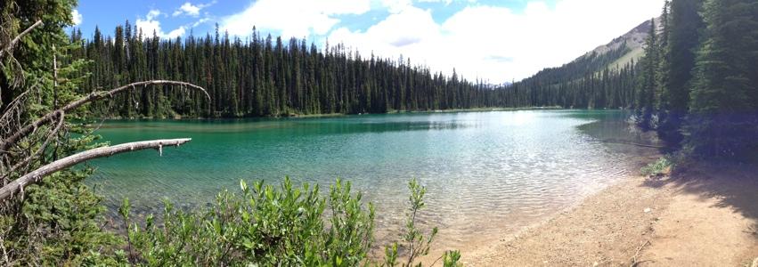 After 0.6 km from the pass, we reached Yoho Lake.