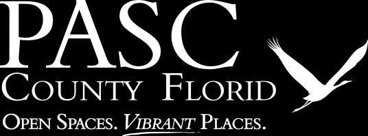 Eubanks: On November 9, 2016 the Pasco County Board of County Commissioners (BCC) adopted Pasco County Plan Amendment 16-8 ESR.