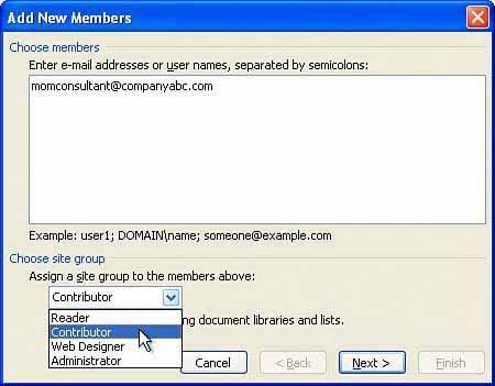 Nakon što se dokument snimi, korisnik može dodavati korisnike na sajt ili radni prostor dokumenta pomoću tipke "Add New Members" u panelu Shared Workspace, unoseći domenu i korisničko ime ili e-mail