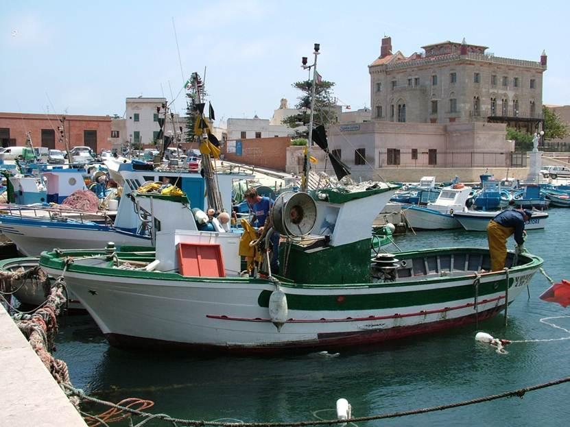 Egadi have also a very important professional fishing fleet: