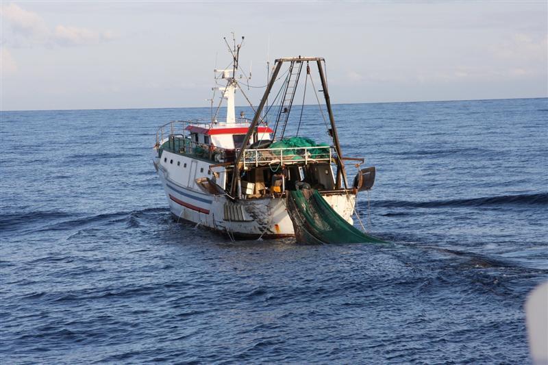 of fishing Number of authorizations Artisanal fisheries