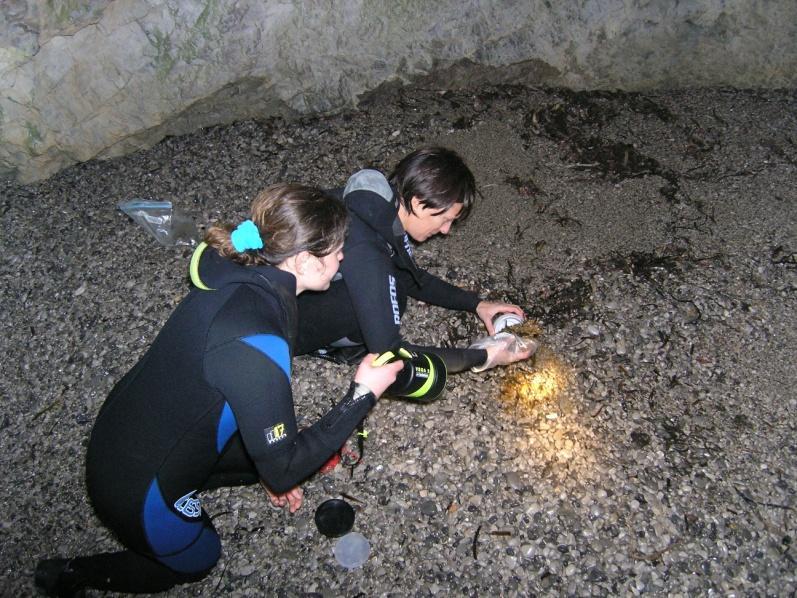 Then ISPRA and MPA placed phototraps in some caves and