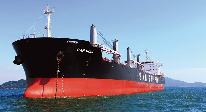 THE SHIPBUILDING MARKET IN 2012 SAM WOLF Supramax bulkcarrier, 57,200 dwt, delivered in October 2012 by South Korean shipyard STX Offshore & Shipbuilding to Shipping Asset Management (SAM) S.A. The orderbook (68m dwt) to delivery (49m dwt) ratio stands at about 1.
