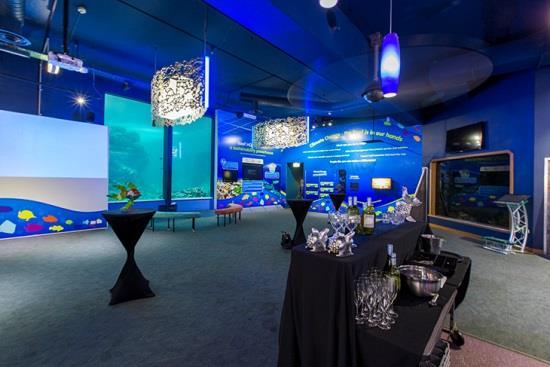 Located on Flinders Street East, Reef HQ Aquarium is an easy walk from Townsville's CBD, local accommodation properties, The Strand and Magnetic Island Ferry terminal.
