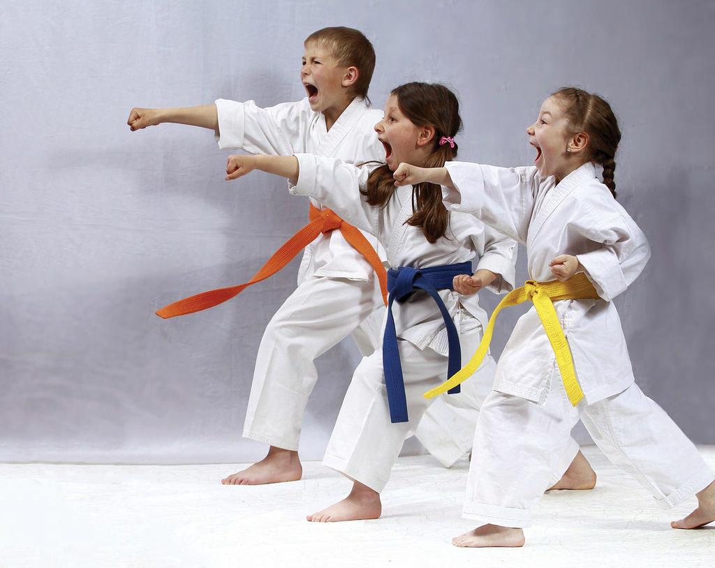 Karate Taekwondo Respect Discipline Character Confidence MARTIAL ARTS Through positive reinforcement, personal attention, and respected role models, martial arts at Elite Sports Clubs can help