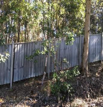 30 cm gaps under fences for koala movement.