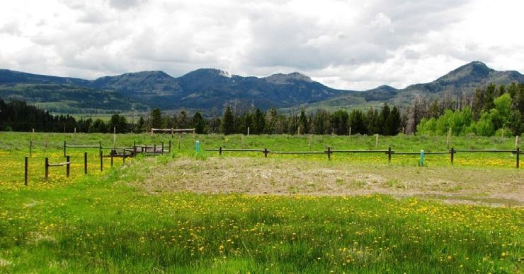 0 AC 45550 Four Seasons Way Lot 6 Secluded Four $326,250 #126531 35.1 AC 45547 Four Seasons Way Secluded Four Seasons $341,250 #126533 35.