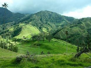 Day 7 THE COLOMBIA COFFEE REGION Today, jump in a jeep and drive to the Snow Mountains in the Los Nevados National Park.