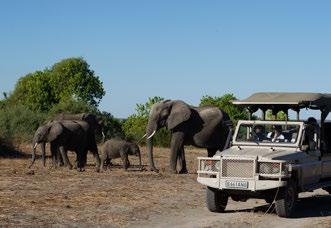 WINTER TIMES TYPICAL DAY ON SAFARI Please note the below suggested daily program is flexible based on the guests interests,