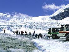 As you travel on this five kilometer round trip journey, you will learn about the formation of these glaciers and interesting geological features. Adult: $63 $68.25 Child (6-15): $31.50 $34.