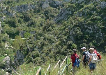 Vendicari Duration: 7 h Route: Nature reserve of Vendicari: Torre Sveva, Tonnara, Pantano Grande, Pantano Piccolo, calamosche.
