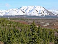 Wed - May 30, 2018 Denali National Park, Alaska (United States)/Whittier Enjoy the