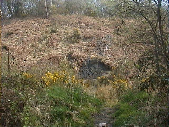 One of the few places on the Graig today that is not overgrown with bush and tree and showing in the colouring the dark coal under the surface.