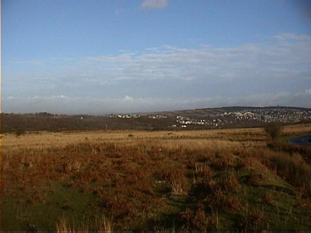 Part of Dunvant with Prior s Wood on the left, view taken from off the Fairwood Common.