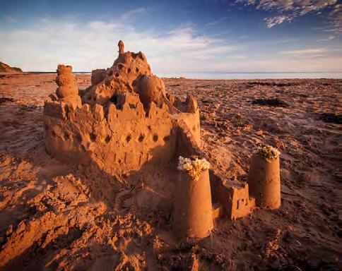 Once you ve learned the tricks of the trade you ll be amazed at how easy it is to turn your family into master sandcastle builders!