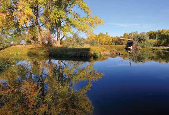 the outdoors is a new priority for GOCO, and