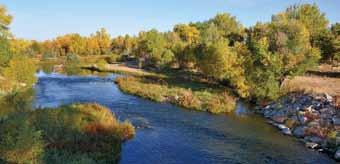 Report to the Citizens 2010 Acquisitions and Improvements Acquisitions Three Bell I CE and Trail Easement A key piece in connecting the Poudre River Trail, this 163-acre parcel also protects a bald