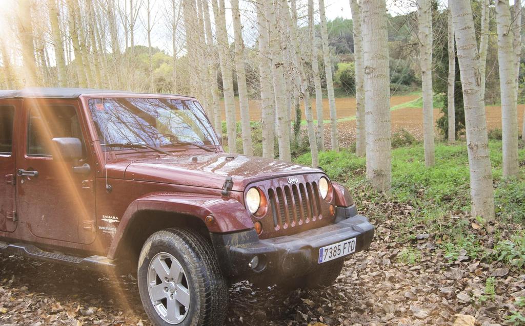 More info... A mountain tour in a 4x4, specially designed by OWN Experiences, traversing the entire width of El Empordà from the Mediterranean Sea to the Garrotxa volcanoes.