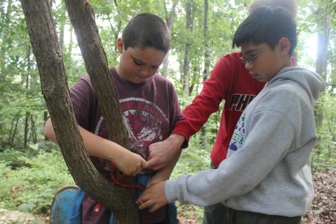 Campers can work on merit badges and requirements of any program area, at almost any time, on any day of the week. CFR Labs If you love science, this is the place for you.