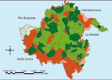 Costa Rica, one of the most biodiverse jungles in Central America and part of the Osa Biological Corridor around the Golfo Dulce, was severely endangered by logging.
