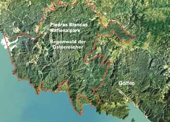 Rica, the Nature Conservancy and Ecoland-Tenaska By 2010, 72% of the Esquinas Rainforest had become a national park 1995: Michael Schnitzler, chairman of Rainforest of the Austrians, receives