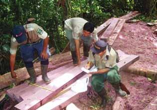 Species protection Park rangers confiscating illegally logged Purplheart wood (nazareno) The new ranger station in La Gamba Next to purchasing