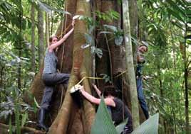 Austrians purchases 15 acres of rainforest near the station for research purposes 2000: Esquinas