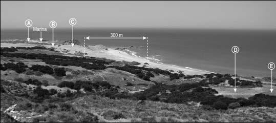 N. Taibi 17 the coastline and over 102 ha (Executive Decree n 13-128 2013; Fig. 6). In the TEZ of Ben Abdelmalek Ramdane, 4.
