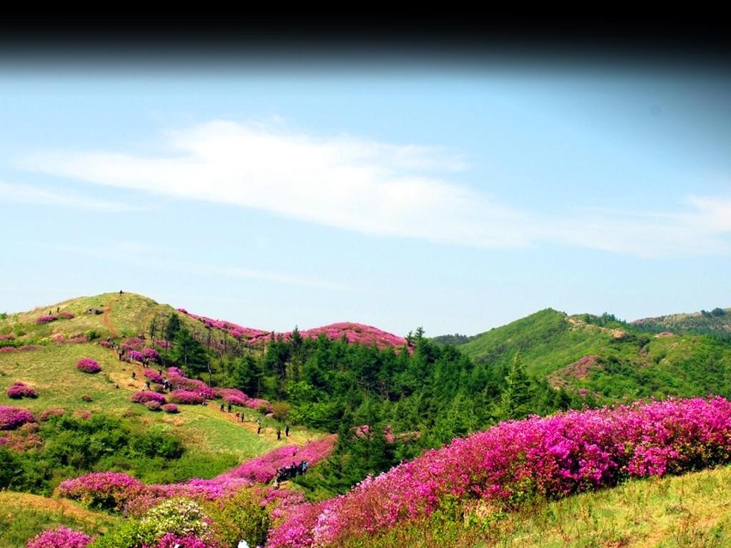 Ecotourism Policies in Korea - Pursuing nature