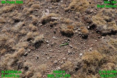 Mountain goat wallows are a significant modification of the