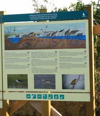 foto: Aljaž Rijavec jo ptic, skupaj z društvom pa smo se predstavili tudi na sejmih in drugih prireditvah, saj je Pliskovica lep primer trajnostnega razvoja na območju Natura 2000, ki ga zagotavljajo