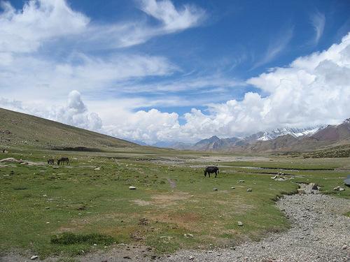 Markha Valley Trek 2016 Area: Ladakh Himalayas Duration: 11 Days Max.